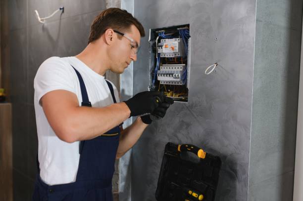 Best Electrician for Home Renovation  in Postville, IA
